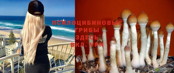 кокс Алексеевка