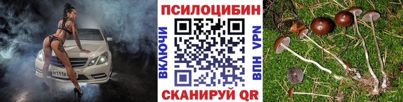 Псилоцибиновые грибы прущие грибы мориарти формула Аша